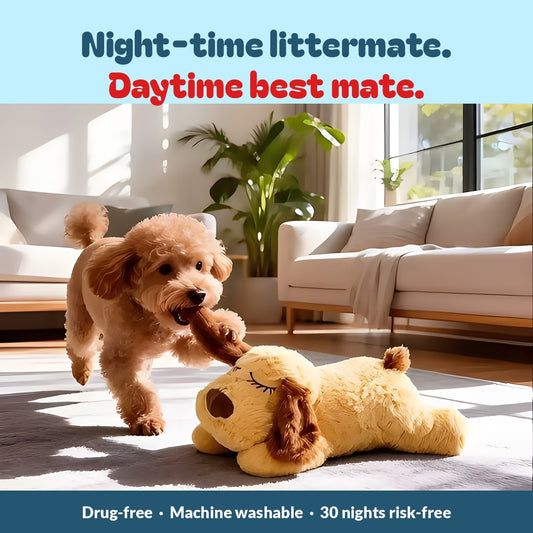 Heartbeat Puppy